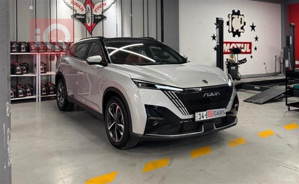 دونج فينج ماج 2025 للبيع في العراق - البصرة